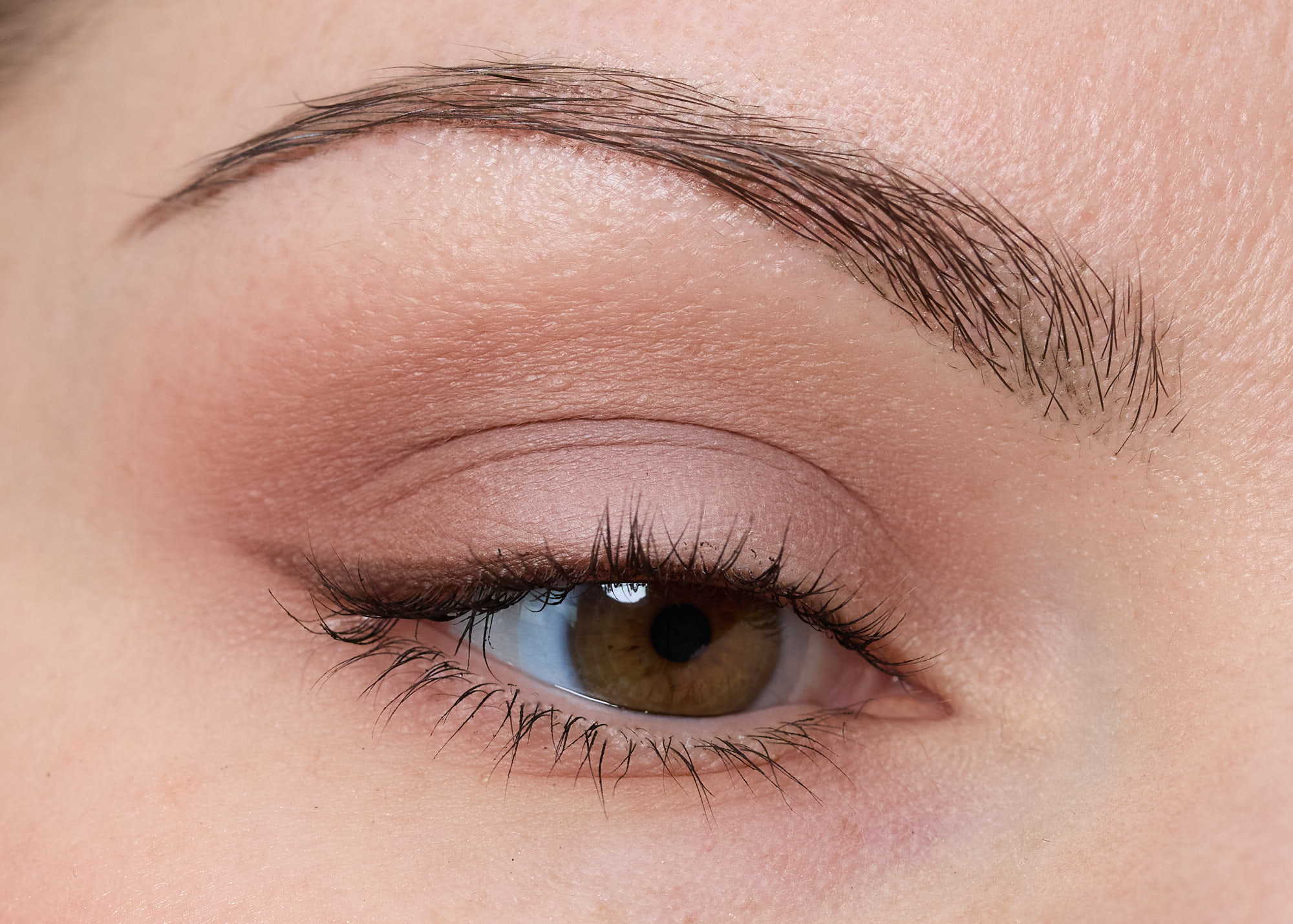 Morphe Underslated ChromaPlus 6-Pan Eyeshadow Palette Look 1