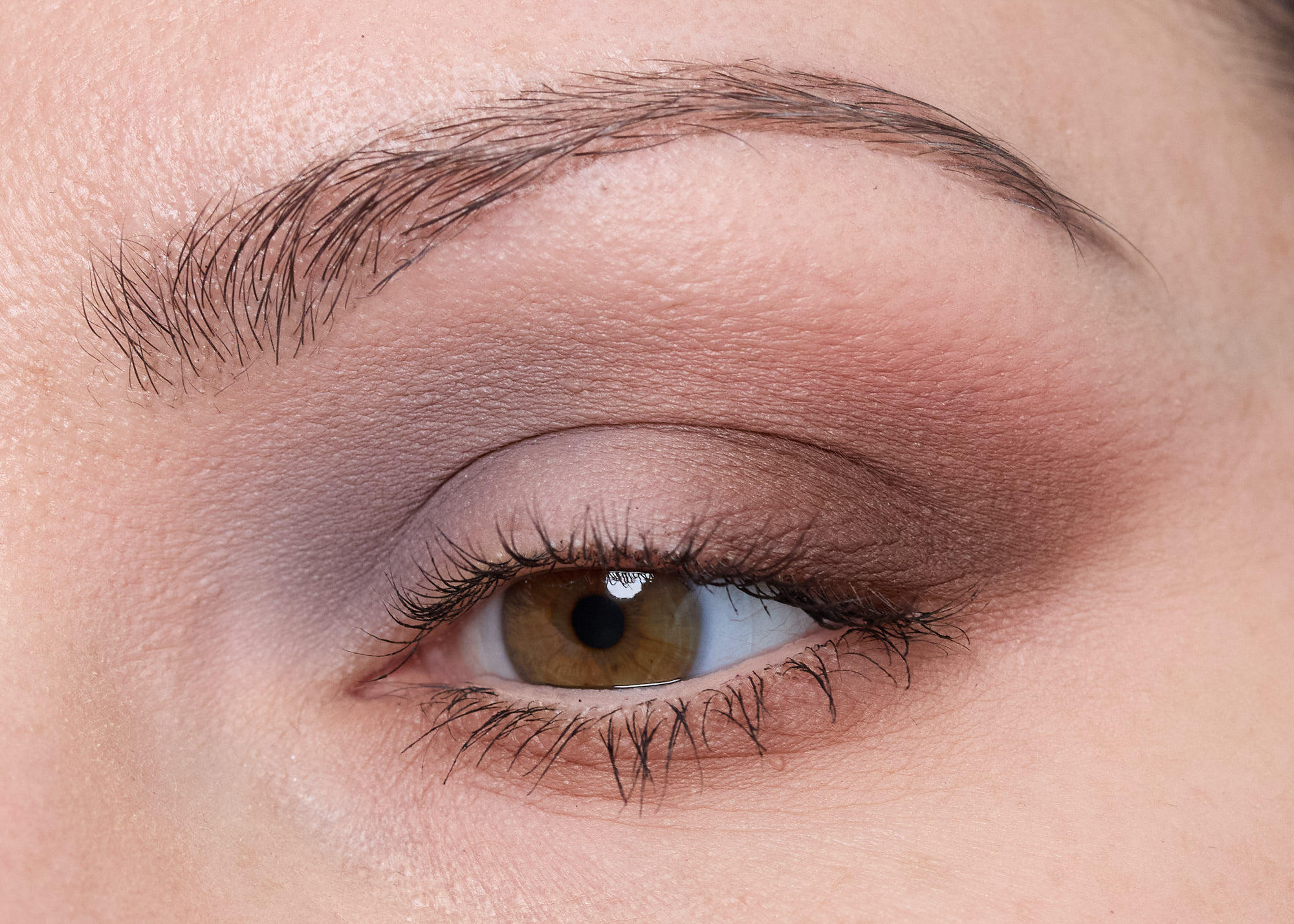 Morphe Underslated ChromaPlus 6-Pan Eyeshadow Palette Look 3